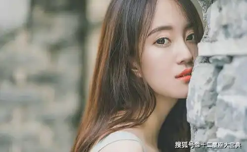 你越难追,ta越不善罢甘休的星座