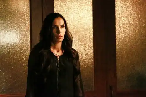 逍遥法外第二季剧照