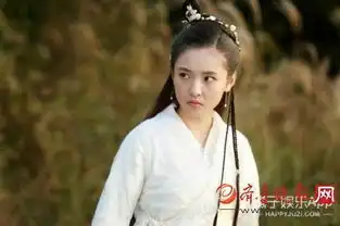 于正版倚天屠龙记赵丽颖迪丽热巴你希望谁演赵敏