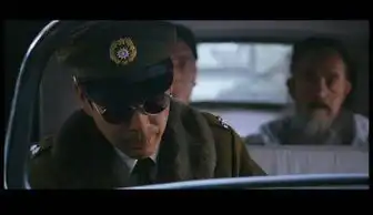 营救张澜罗隆基的阎锦文