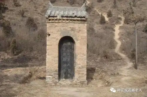 出塞中的龙城飞将到底是谁从诗名及嫌疑人的经历定结论