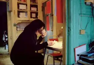 深圳男辞高薪工作移居匈牙利100多万买花园别墅
