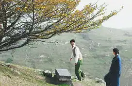 山楂树之恋与原著不一样的纯