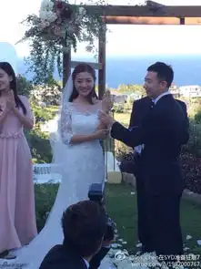 爱情公寓主角情史曝光陈赫离婚邓家佳结婚图