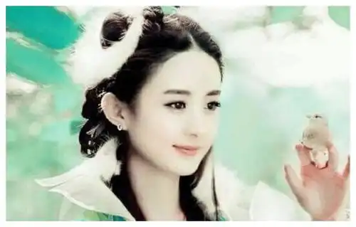 赵丽颖新剧未播先亡,看到男主定妆照后,网友太辣眼