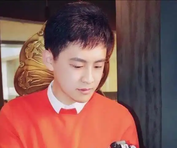 快乐星球演员们的近况,他被保送北大,为什么家有儿女的主演都火了
