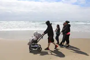 从爱乐之城洛杉矶暮光之城波特兰