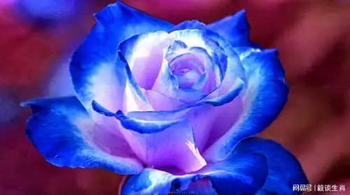 厚积薄发从40岁开始迎来上天眷顾,渐入佳境,升官发大财的生肖
