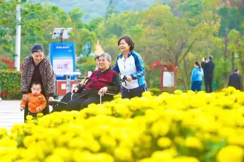 满城尽带黄金甲一起来宜春菊花展打卡啦
