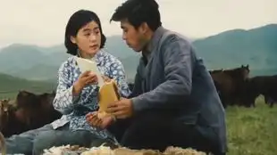 怀旧电影金曲1983少林寺弟子原声插曲风凄凄演唱远征