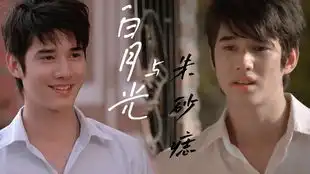 男女主通过msn联系了三年,终于奔现了