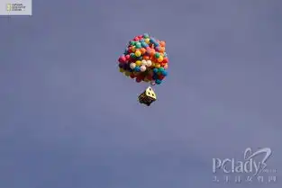 最浪漫的空中旅行真实版飞屋环游记