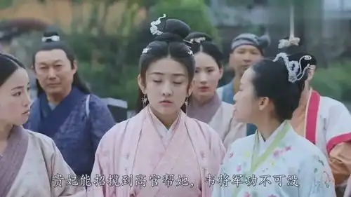 双世宠妃2助纣为虐后,韦将军才知效忠的贵妃是仇人,真可怜
