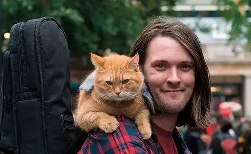 流浪猫鲍勃去世,你一定也听过它的故事