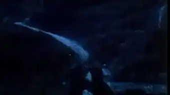 黄河绝恋高清在线观看