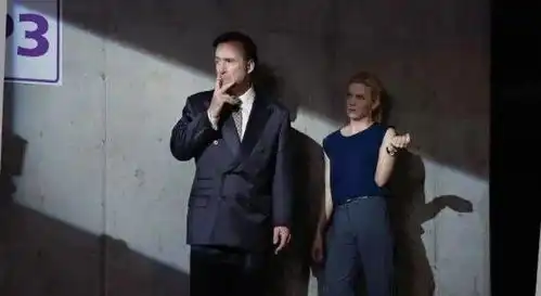 冲着男主看的暴力新片,爽就行了
