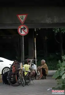 佛山园林工立交桥下蜗居10年