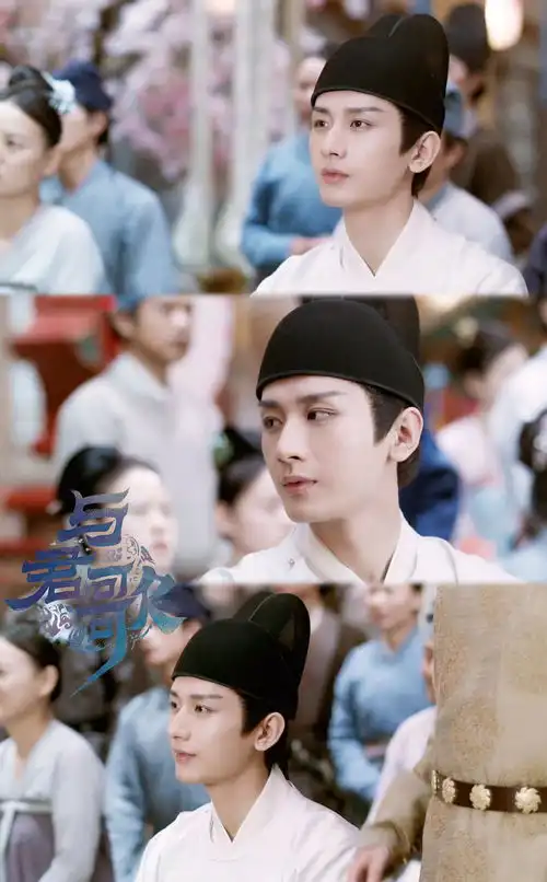 与君歌
