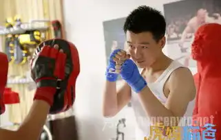 虎妈猫爸45集剧情145集电视剧全集分集剧情介绍大结局毕胜男给女儿换学校
