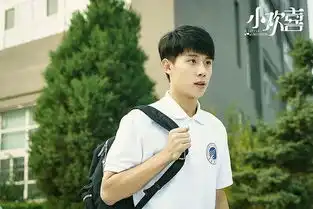 最近爆火的国剧小欢喜豆瓣评分如何
