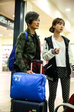 组图张翰下岗李菲儿当导游郑佩佩爱女探班
