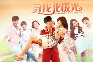 寻找北极光剧照
