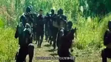 湄公河行动超越了美人鱼,吴京的战狼3有点悬
