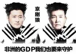 中国的京刚狼你看了吗