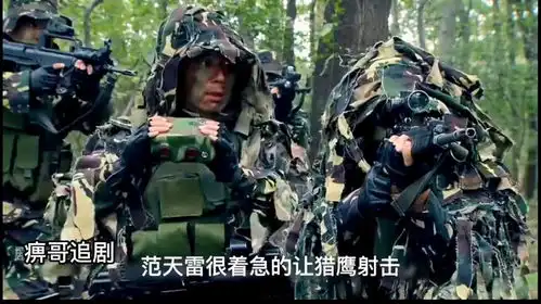 武装分子踏入我国领土,就是侵略者,特种兵寸土不让