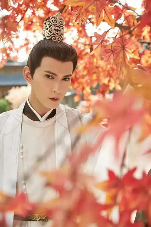 徐正溪演过的电视剧,看一看有你喜欢的剧吗