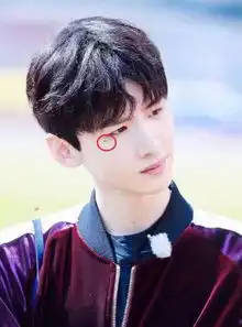 蔡徐坤锁骨痣,白敬亭泪痣,都不及吴亦凡的痣独特高颜值标配