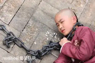 寂寞空庭春欲晚中饰演小纳兰容若的童星徐凌晨