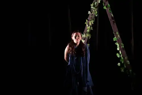 民俗喜剧仲夏夜之梦在滨州保利大剧院成功上演
