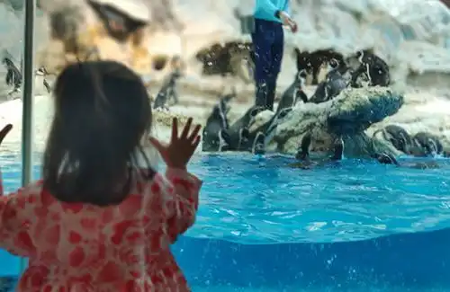 快乐星球童星现状有两位已经结婚,她的孩子都能打酱油了
