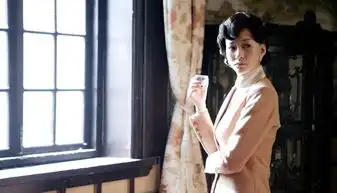 组图那些被惊艳的时光李小冉民国剧照大盘点