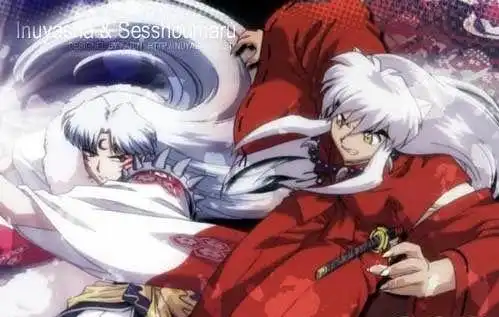 要一些犬夜叉和杀生丸的漂亮图片
