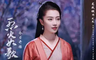 烈火如歌凤凰剧照