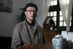 潜伏2008年孙红雷姚晨主演的经典谍战电视剧
