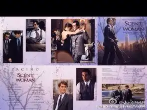 shao176325的微博微博