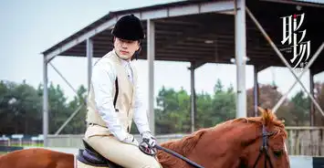 职场是个技术活剧照