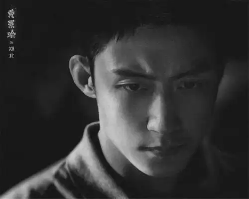 10部待播悬疑犯罪剧张艺谋下场,王宝强挑战中国版绝命毒师
