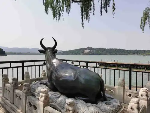 颐和园铜牛