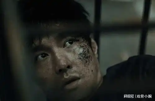 电影孤注一掷正在热映,剧情细思极恐,你真看懂了吗