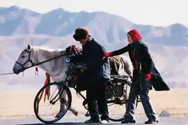 王宝强单飞自立门户盘点王宝强经典剧照
