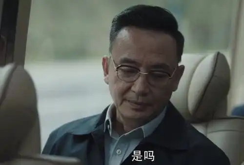 扫黑风暴中的大老虎,究竟是谁