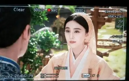 范冰冰剧照巴清