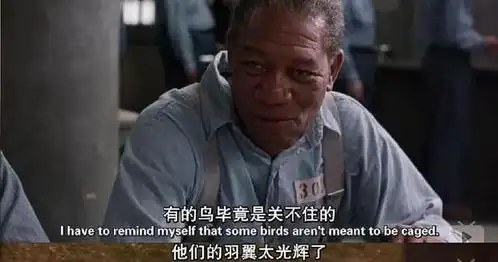 肖申克的救赎主要讲了什么

