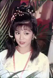 射雕英雄传之铁血丹心图册