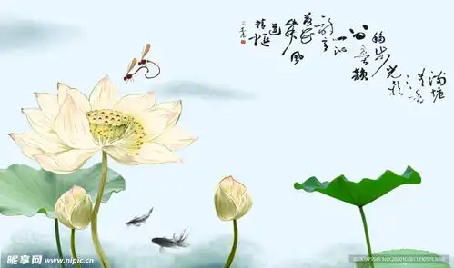 手绘荷花背景设计图室内广告设计
