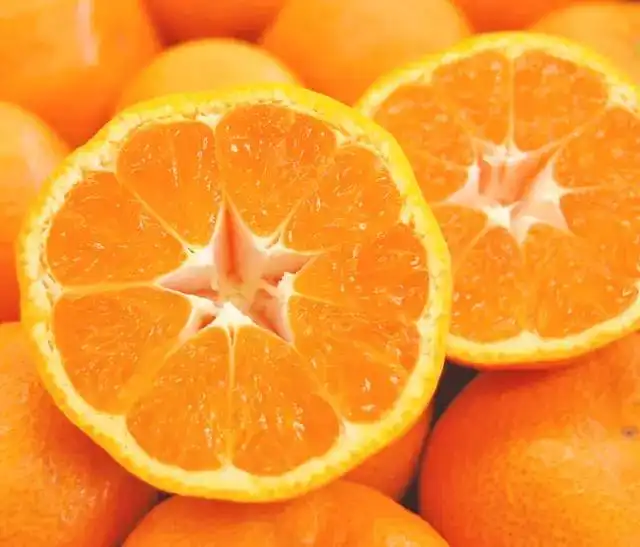 头发一掉一大把最该补的东西竟然是它
